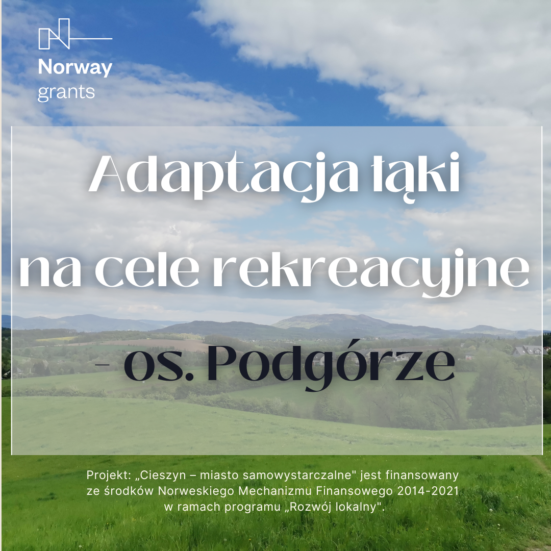 Łąka na os. Podgórze (grafika UM Cieszyn)