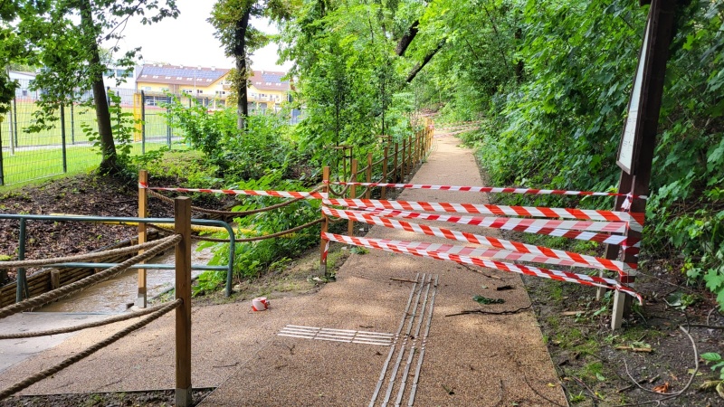 fot. Lasek Miejski prośba o zachowanie ostrożności