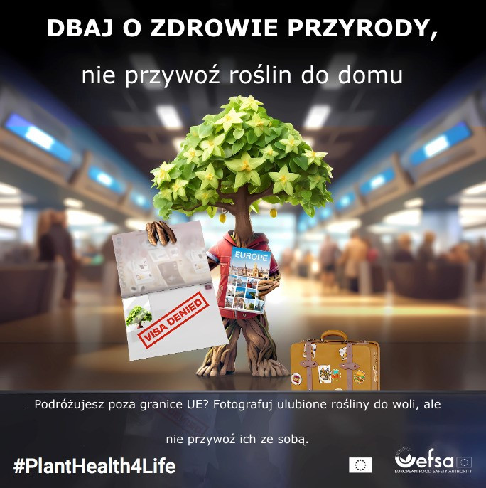 Grafika informująca o dbaniu o zdrowie przerody
