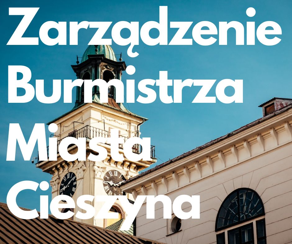 fot. grafika poglądowa