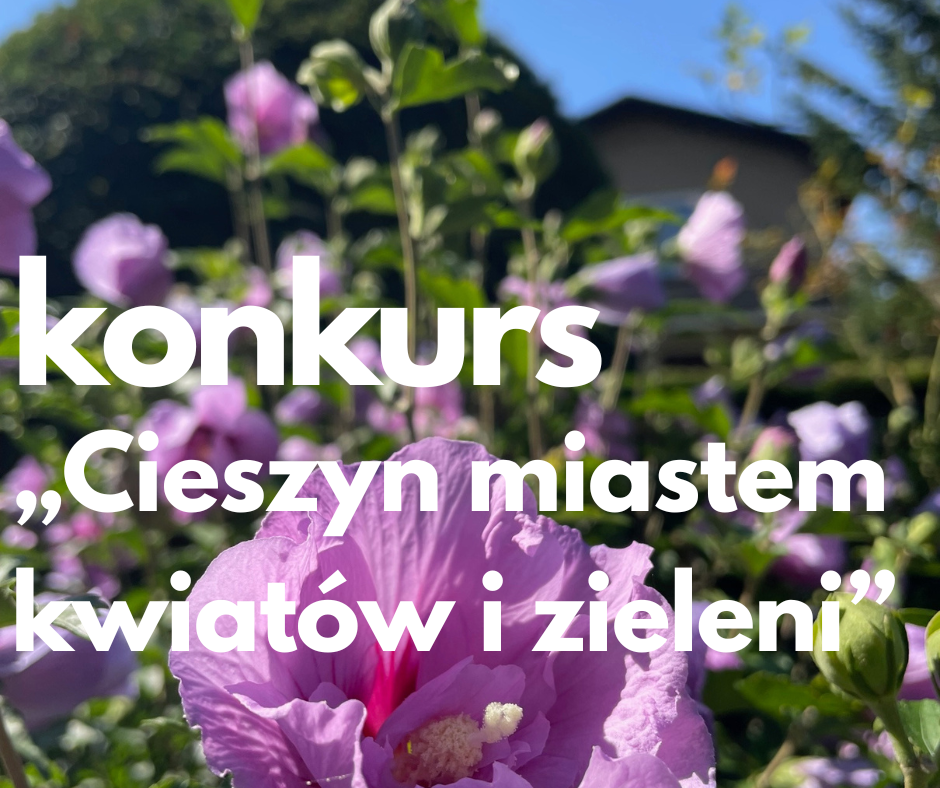 ogródek w Cieszynie