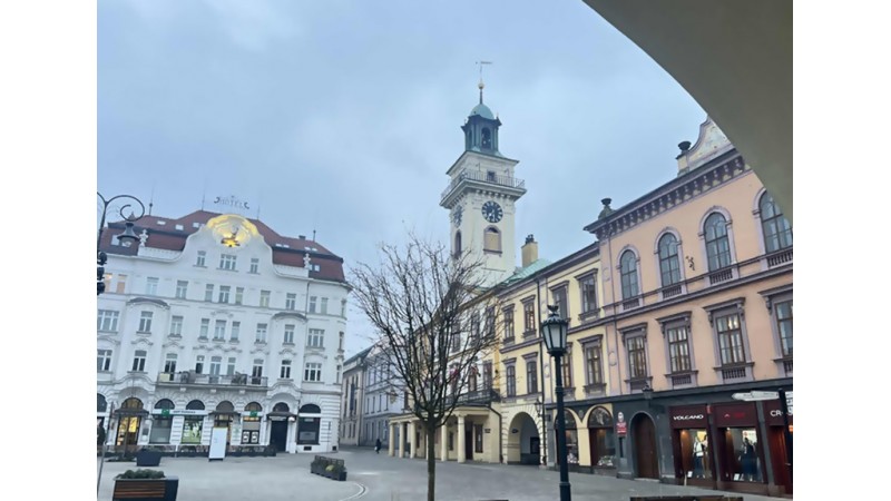 Widok na cieszyński rynek z centralnie widoczną wieżą ratusza, otoczony historycznymi kamienicami; na pierwszym planie drzewo i latarnia, w tle pochmurne niebo, fot. UM Cieszyn