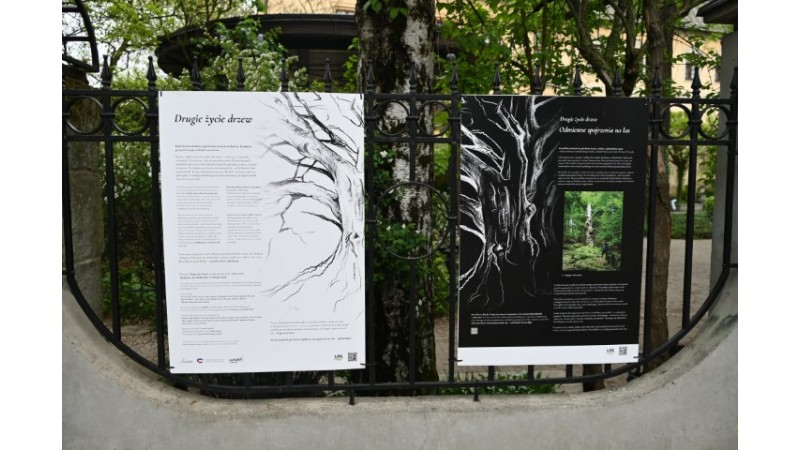 Plansze wystawy wiszące na płocie Parku Pokoju