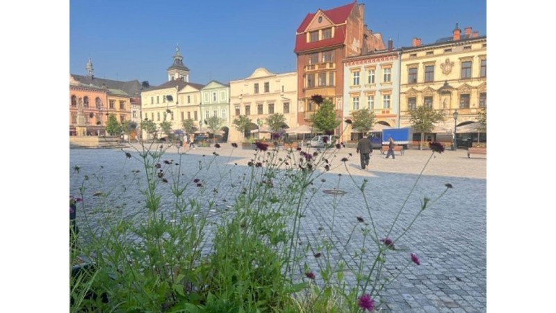 Rynek w Cieszynie fot. BSK